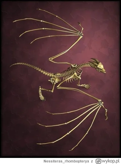 Nessiteras_rhombopteryx - #gabinetosobliwosci
#smoki