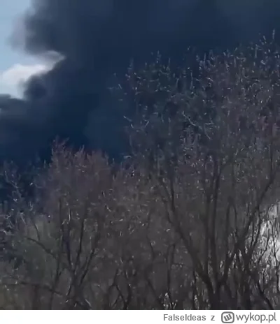 FalseIdeas - Główną działalnością firmy jest produkcja i sprzedaż produktów chemiczny...