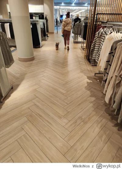 WielkiNos - @reventon ostatnio jak byłam w galerii.