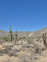 pal95 - Chlop sobie chodzi po pustyni w Arizonie w 40 stopniach a w Polsce jest nocna...