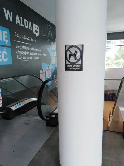 WroTaMar - Szanuję.
#psiarze #gdynia #trojmiasto