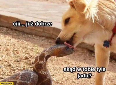 Trzesidzida - @NiBBonacci

Podsumujmy w punktach:

1. Ponarzekałam na nową aplikację
...