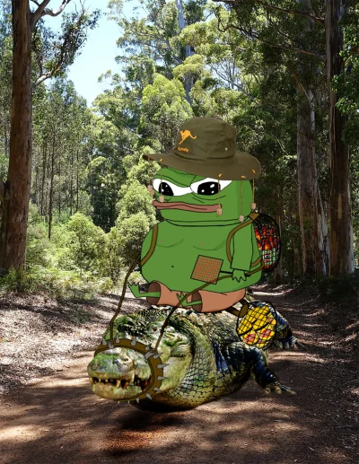 Corvus_Frugilagus - #muzyka