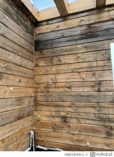 odgrzybiacz - Sinizna drewna konstrukcyjnego jest wadą typu przebarwień i nie osłabia...