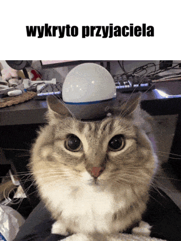 Camel1913 - @kolorowy_monochrom: