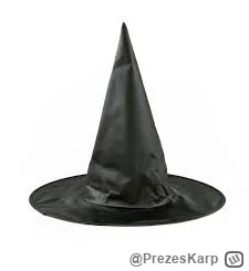 PrezesKarp - @HerrBorowiecki Mogli im dać miotły i takie czapki