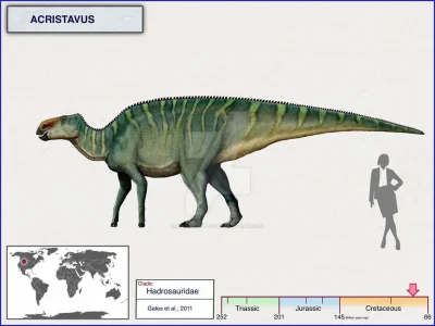 Loskamilos1 - Acristavus gagslarsoni był rodzajem hadrozaura żyjącego około 80 milion...