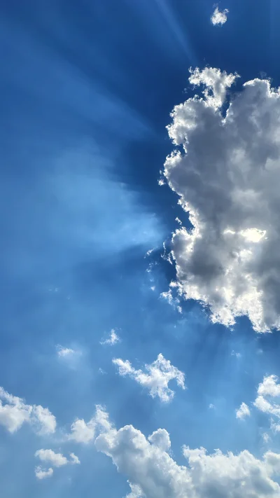 miloscsmiercirobotydrogowe