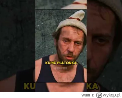 Wulfi - Kiedy idziesz na wieś zrobić risercz osób które głosowały na nawrockiego
#p...