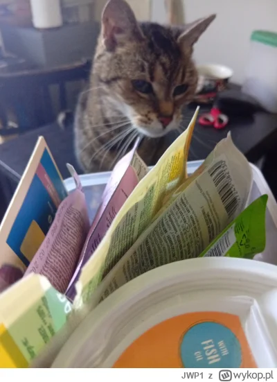 JWP1 - @Lumberjack91  Jest wybór smaczków na deserek =]
Nelka siostra Smolucha ;)