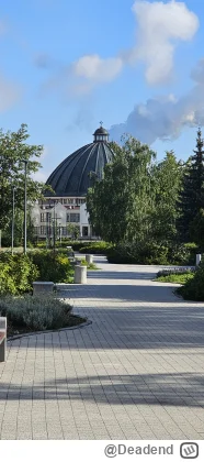 Deadend - Beatyfikacja Lecha rozumisz