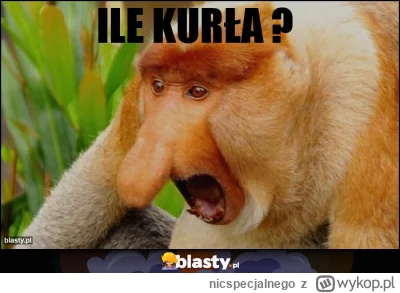 nicspecjalnego - @Kononienko: