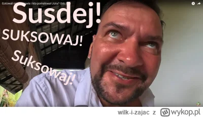 wilk-i-zajac - #raportzpanstwasrodka