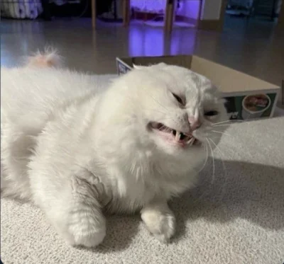 makrofag74 - @zagubionychromosom: