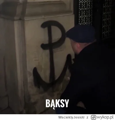 WscieklyJesiotr - #heheszki #humorobrazkowy #polityka