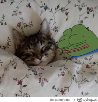 iforgotmypass_ - dobranocz mirasy