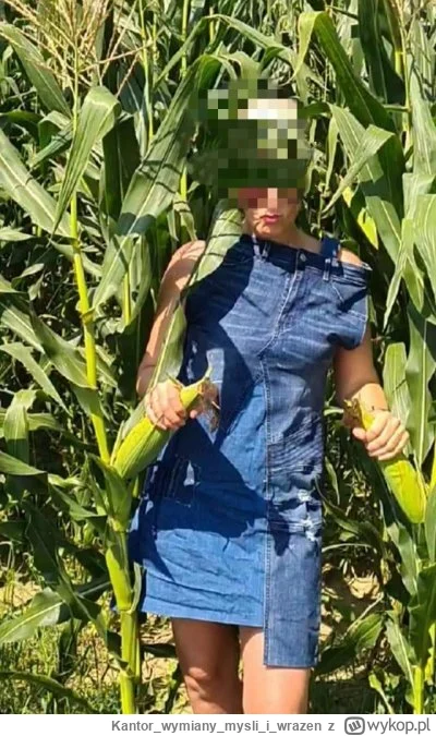 Kantorwymianymysliiwrazen - @Robert_robinson: @csth97 a ja widzę że w bananowcach.( ͡...