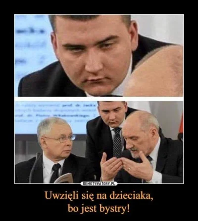 Pepe_Roni - @programista30k: podobnie inteligentne spojrzenie jak u chłopaka Macierew...