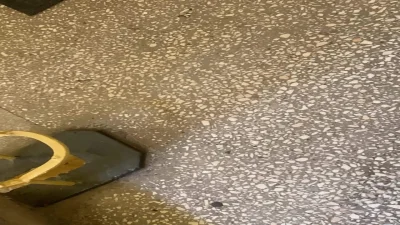 januszwalus - Przygłuchym głupim dziadom z klatki nie przeszkadza wycie psa tylko glę...