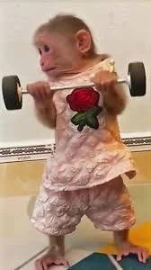 CzikaKiri - @matt-mattwew: Człowieku, Cziki trenuje, ludzie na strzał spadają z wersa...