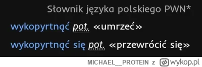 MICHAEL__PROTEIN - Człon "wykop", więc wszystko się zgadza

#heheszki #nowywykop