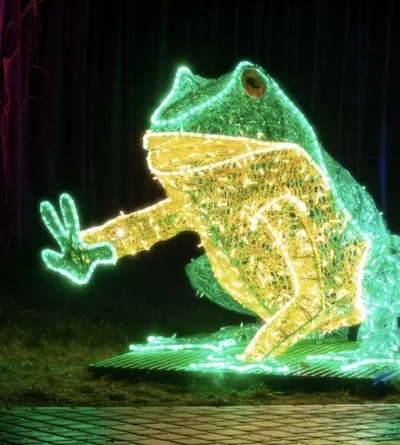 hirek_gawron - Stop! Czas żaby!