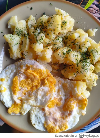 Szyszkalogin - #przegryw Będę jadł #glodnyjakpies