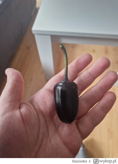 Bazooka - Czy jest tu jakiś mirek od #chili #papryczki co mi wyjaśni co to jest? Brat...