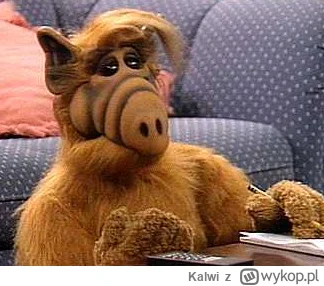 Kalwi - Czym są afirmacje Alfa i na czym polega ich potęga?

#sebcel