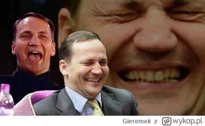 Gieremek - Pic rel: kiedy widzisz że patriotyczni prawicowi internauci promują w inte...