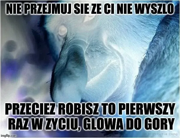 LeonardoDaWincyj - @JaNieGejJaPapiesz