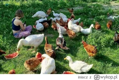 iniacz - To ja z ptakami: