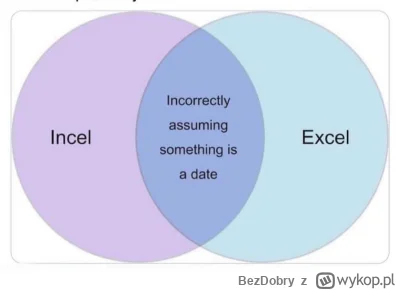 BezDobry - #incel #excel #humorobrazkowy #heheszki