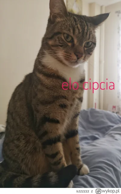 szzzzzz - @Neeveermind