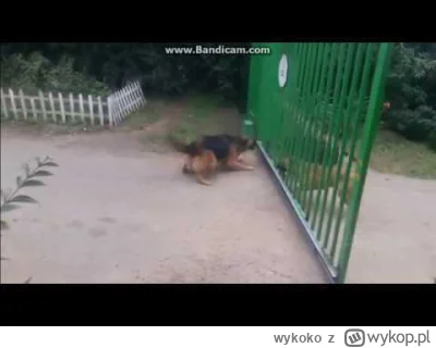 w.....o - #famemma

Załęcki i Omielańczuk w pigułce: