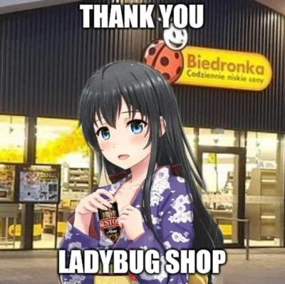 LubiePieski - w ladybug store są teraz książki filozoficzne w takich ślicznych twardy...