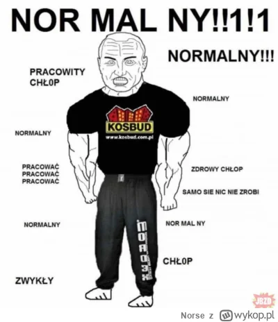 N.....e - @stal_zemsty: tak jest, normalnym trza być