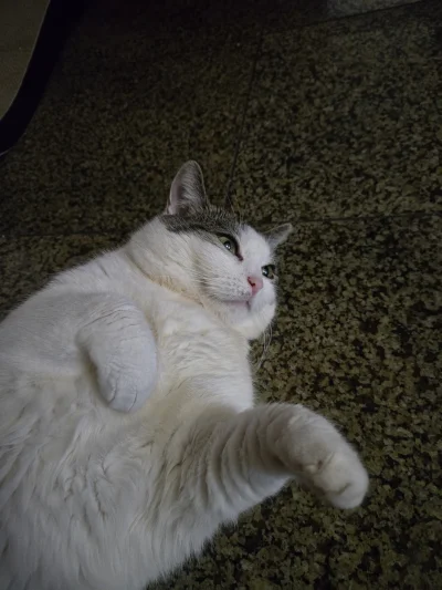 Solsith - @animalihave_become: 10 lat, więcej wydałem na nią nisz na siebie(wet)