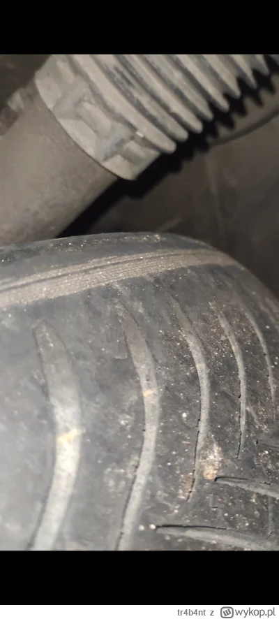 tr4b4nt - @goferek o czyli moje jeszcze oblecą bo 2019