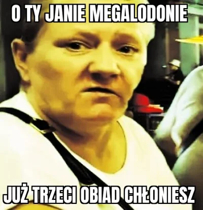 ryhu - #raportzpanstwasrodka