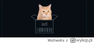 WuDwaKa - #kot #koty #wykop #reklama #humorobrazkowy