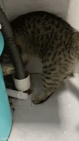 wfyokyga - Czesiek hydraulik