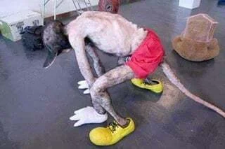 SzycheU - #cursedimages #wtf #heheszki #creepy