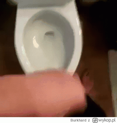 Burkhard - No i ch#j, znowu mi wpadl do kibla. Tez tak macie czy tylko mi sie tak zda...