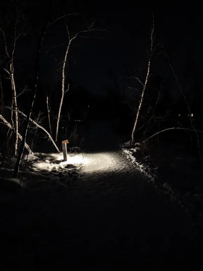 ramirezvaca - Trochę Alan Wake :) 

#podroze #alanwake #szwecja #laponia