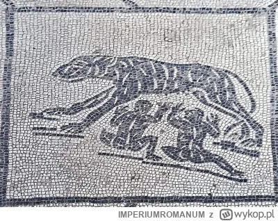 IMPERIUMROMANUM - Mozaika ukazująca karmiącą wilczycę

Rzymska mozaika podłogowa ukaz...
