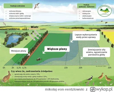 mikolaj-von-ventzlowski - Rolnicy zaraz będą protestować, tymczasem
miedze wszystkie ...