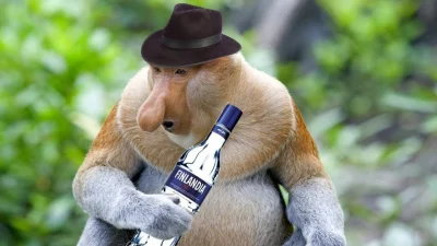 JanDzbanPL - Dziś Polska walczy z Finlandią 
#mecz