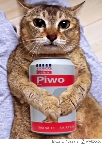 MiszazPolszy - @remlezar