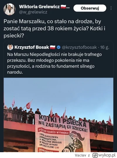 Vaclav - Kobieta, która w ogóle nie ma dzieci, pyta się gościa z trójką dzieciaków i ...